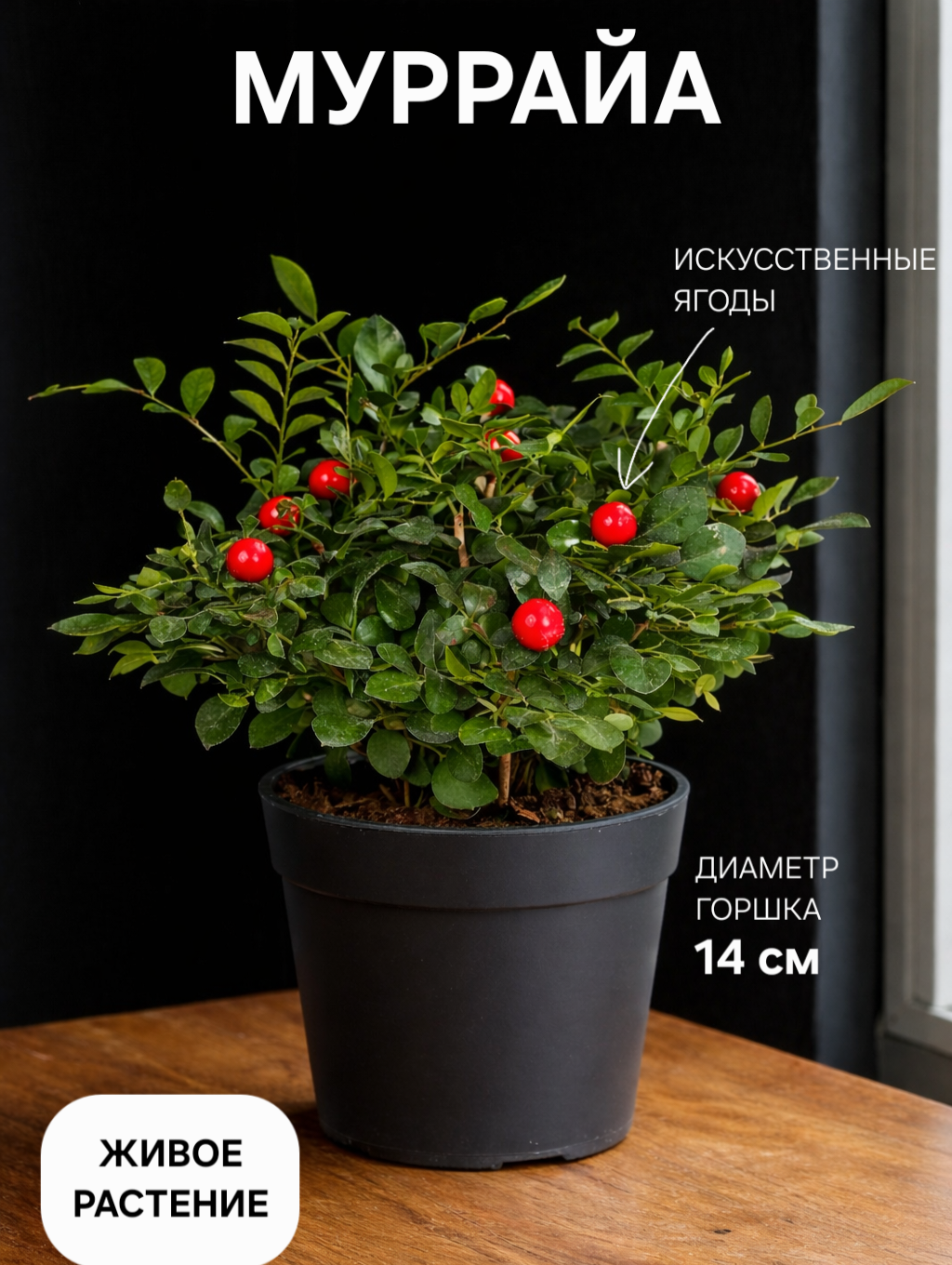 Муррайя с исскуств. Ягодами 14 26