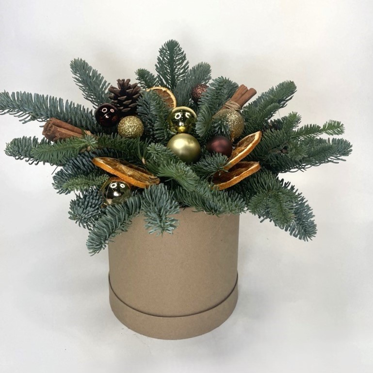 Декоративная композиция из живых веток Пихты нобилис «Глинтвейн»