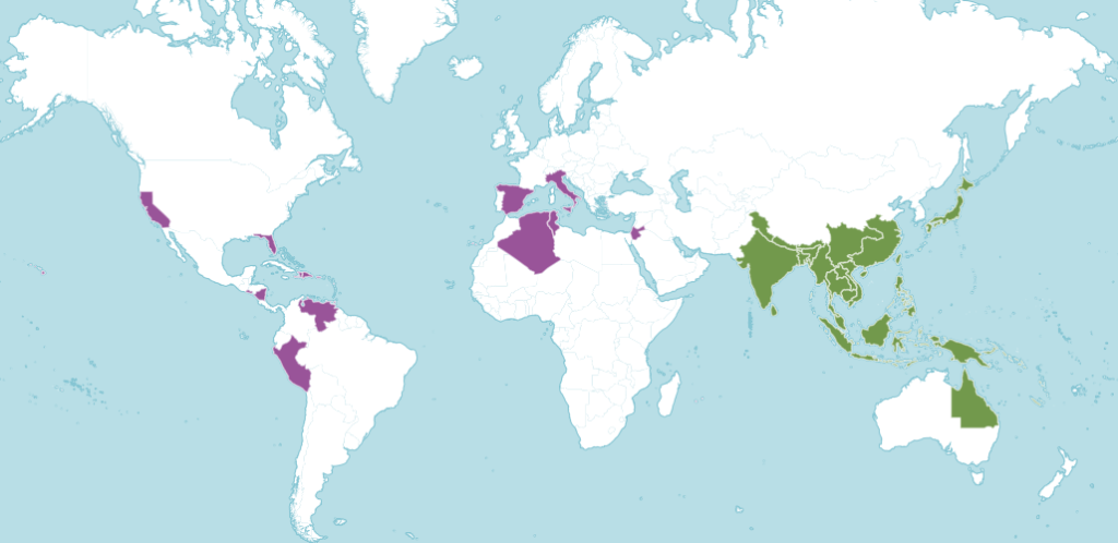 Фикус микрокарпа ареал.png Фикус микрокарпа ареал.png