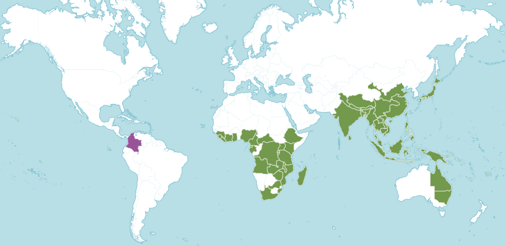 Где растёт микросорум в дикой природе.png