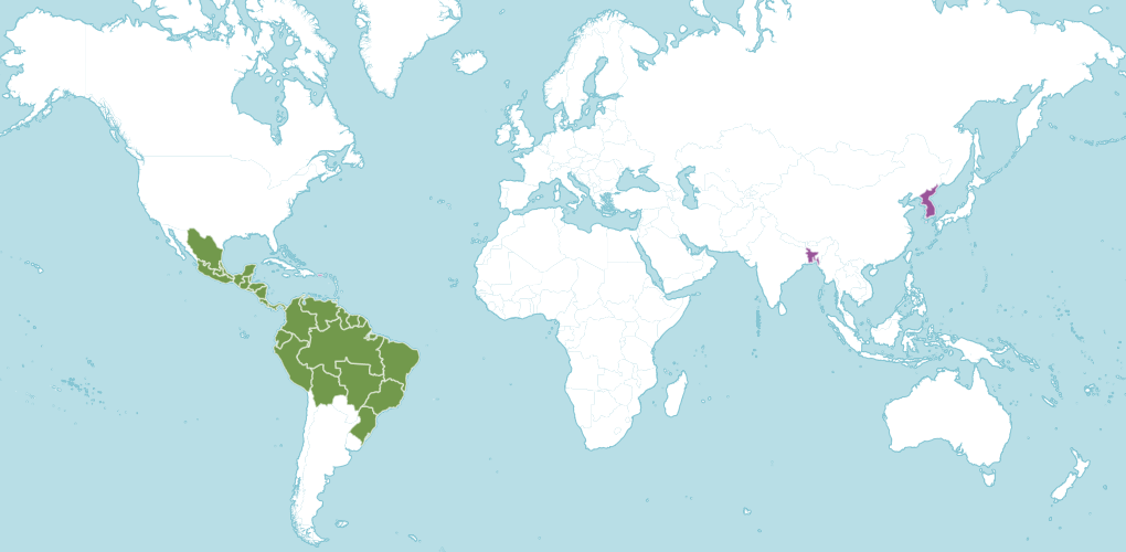 Монстера ареал обитания.png