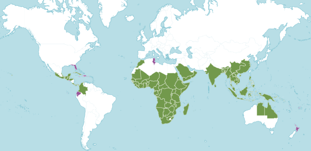 Драцена ареал обитания.png