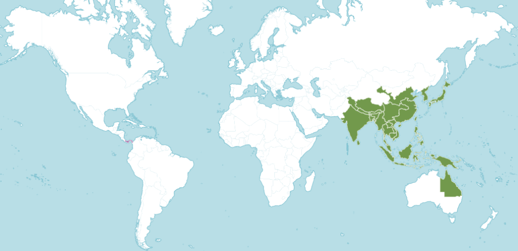 Фаленопсис ареал обитания.png