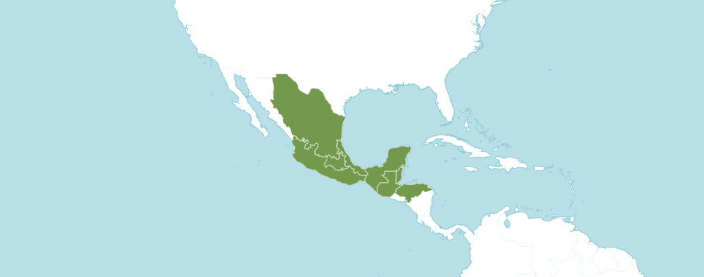 Хамедорея элеганс ареал обитания.png Хамедорея элеганс ареал обитания.png