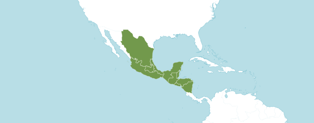 Бокарнея ареал обитания.png Бокарнея ареал обитания.png