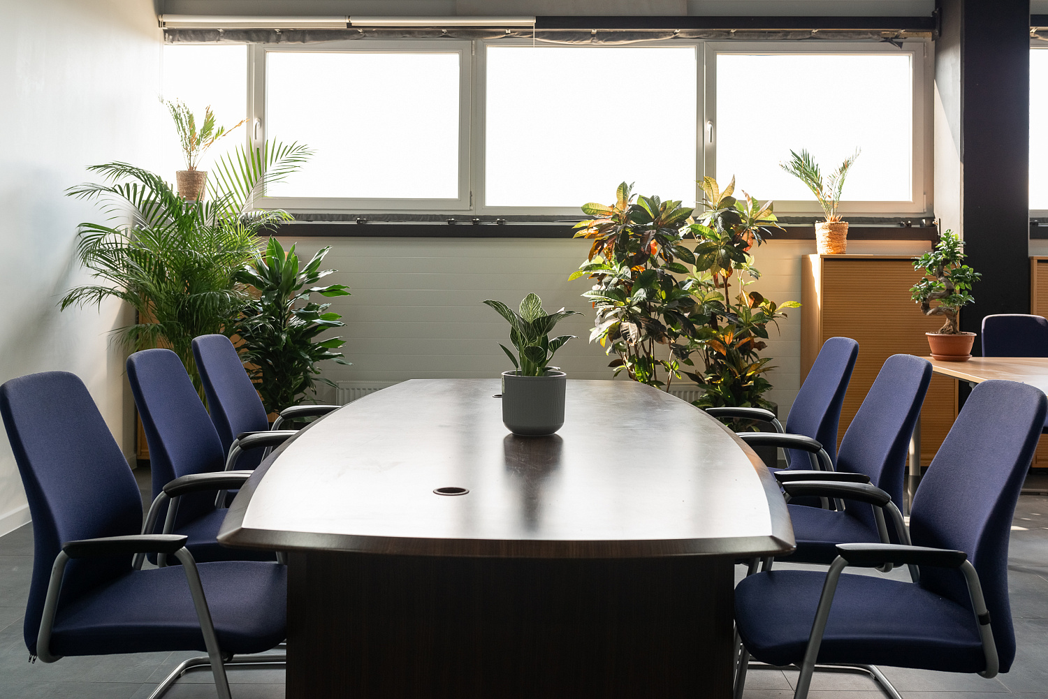 Озеленение офисов и интерьеров