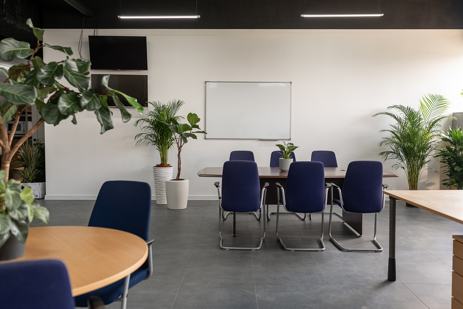 Озеленение офисов и интерьеров